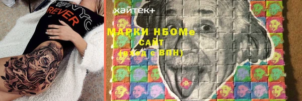 стаф Арсеньев