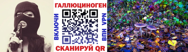 Псилоцибиновые грибы мухоморы  Купить  Суздаль 